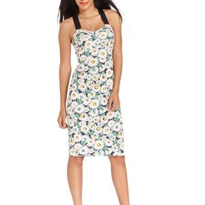 Rachel Roy Blushing Rose MIDI Dress